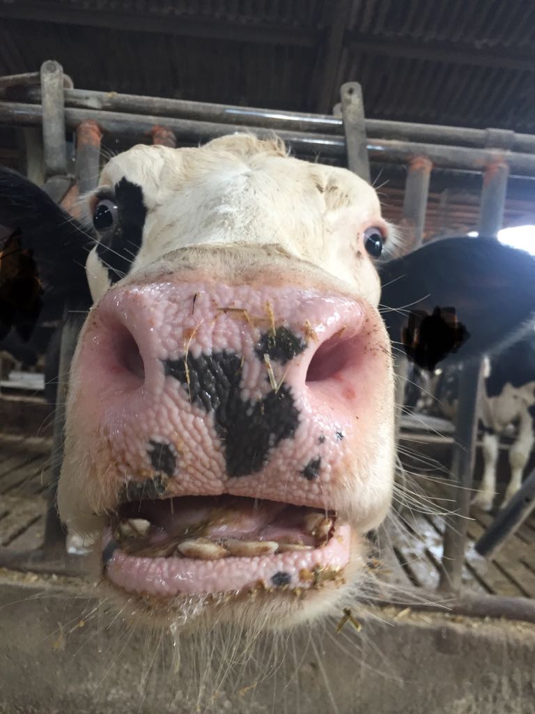 25A27A9D-BCC6-4044-81AD-B5CEF1F7A79D