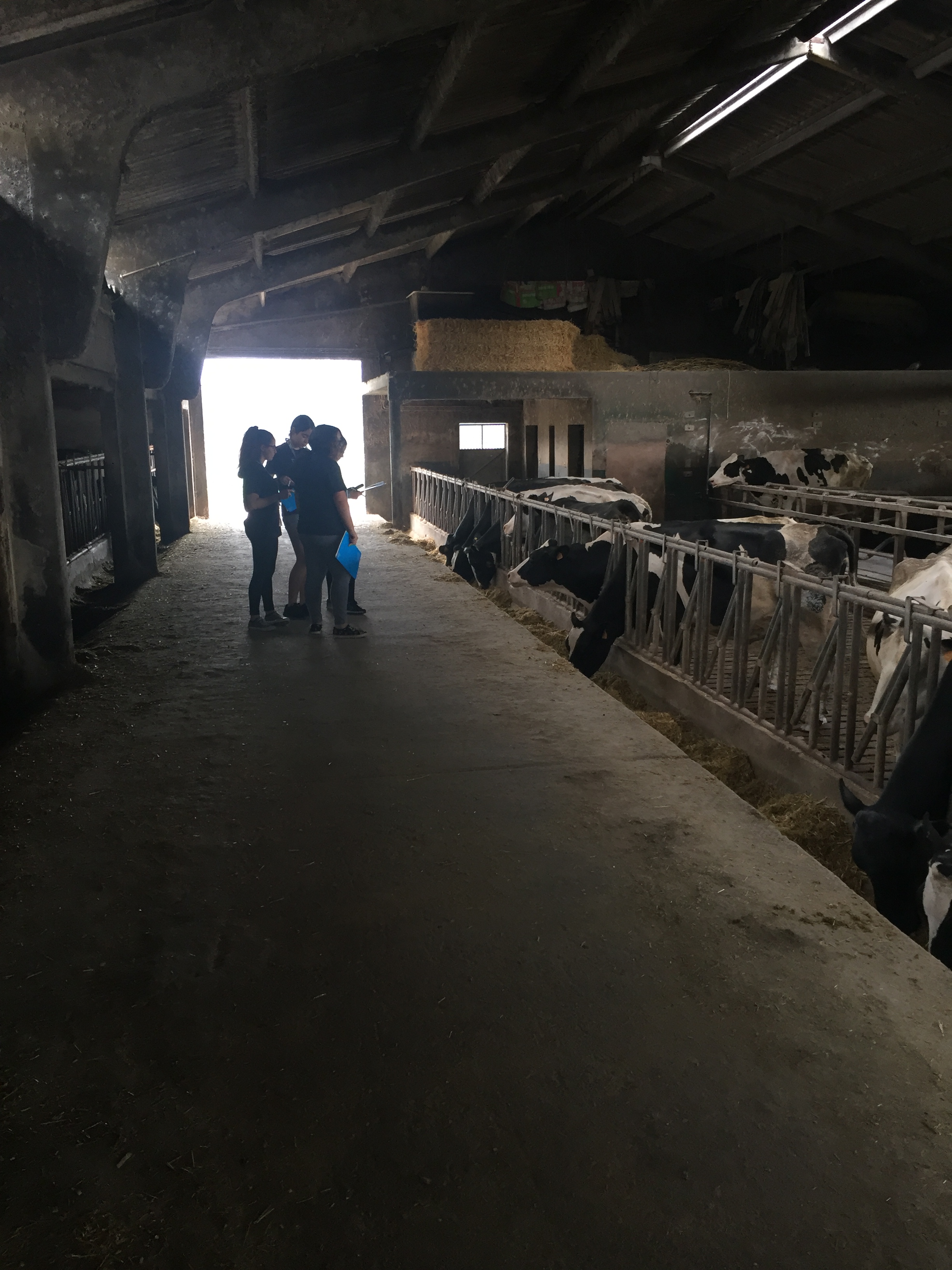 BF3974EB-3DDE-4F7D-92A9-D28A224A91EA