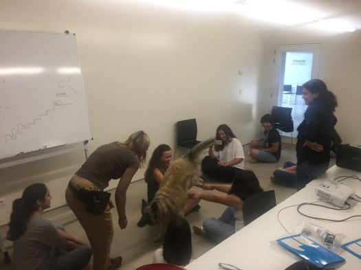 E0C7BA23-AD07-4FEA-8213-367C5B22DEA0