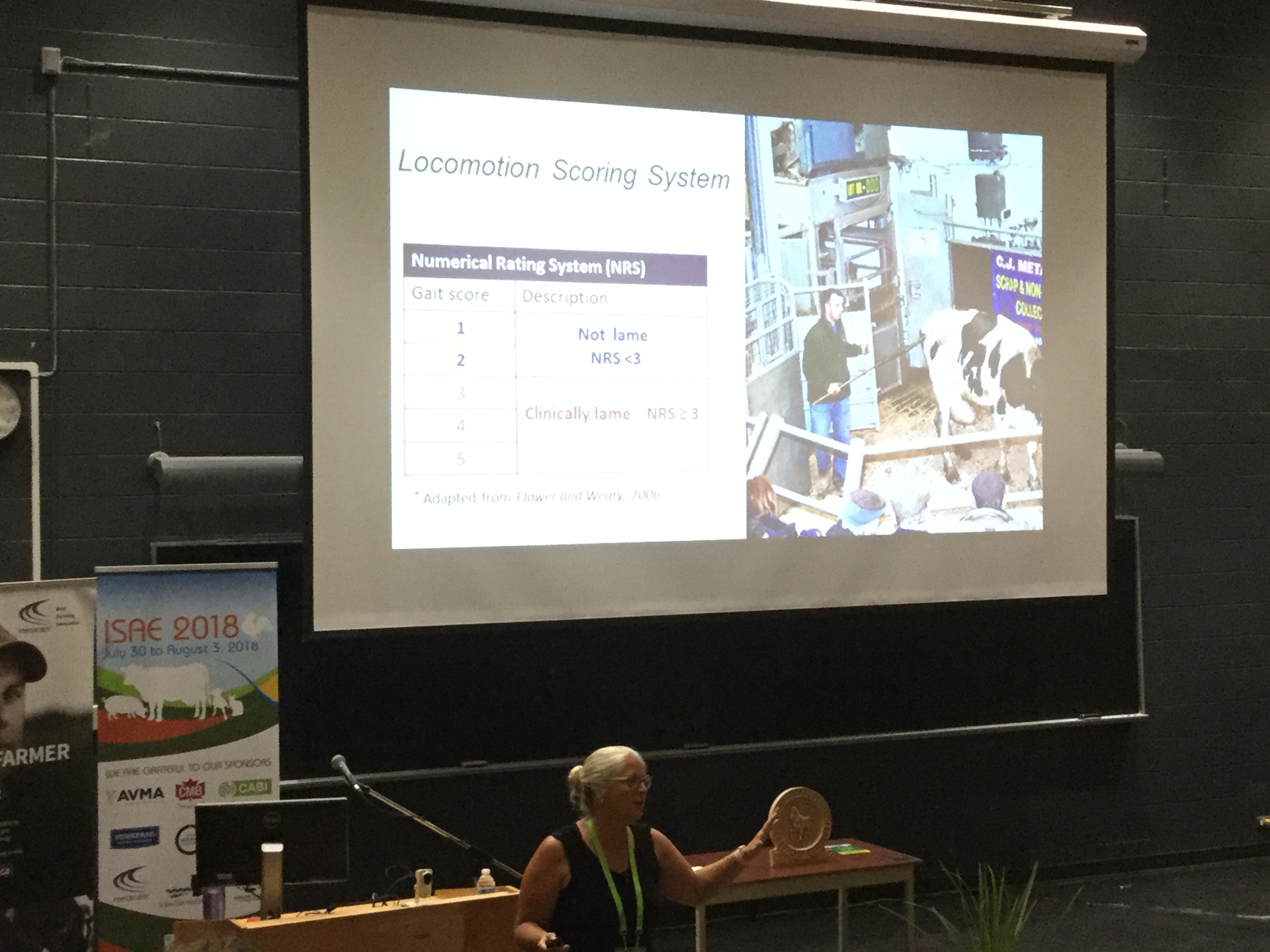 86D42E52-AE8A-45BC-AF57-241DD6A7F384