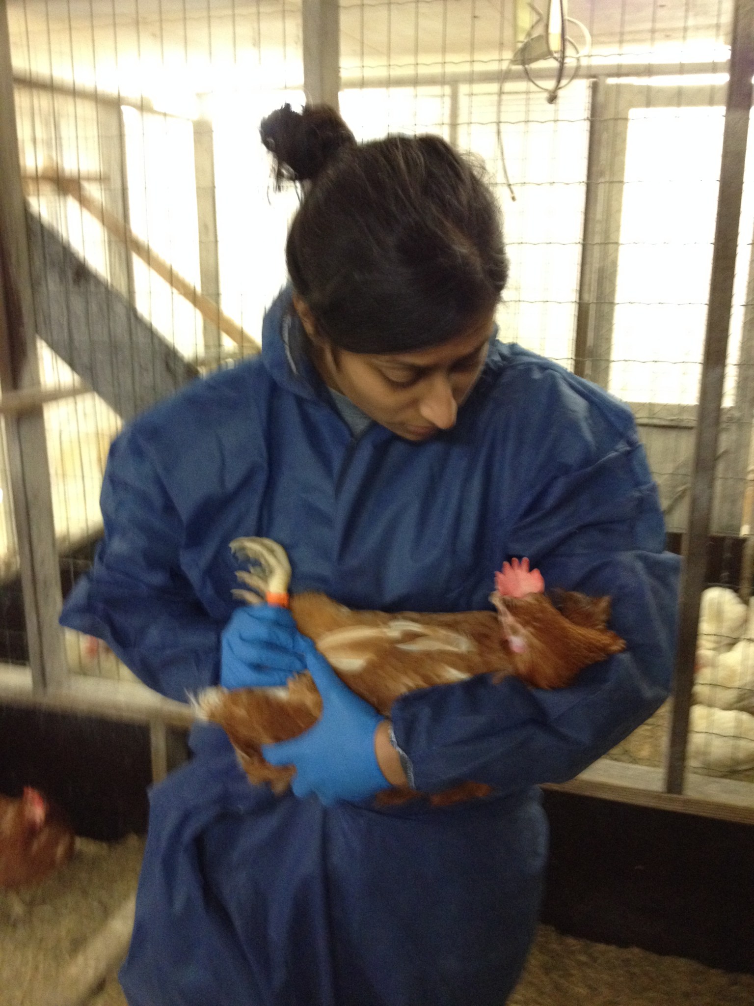 Priya with chicken